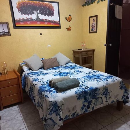 Casa Camilo - Cozy, Beautiful And Nice Separe Room San Miguel de Allende Buitenkant foto