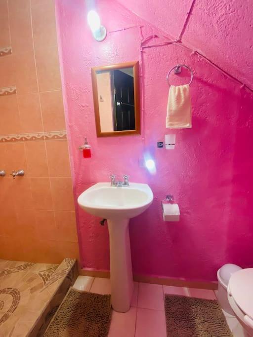 Casa Camilo - Cozy, Beautiful And Nice Separe Room San Miguel de Allende Buitenkant foto